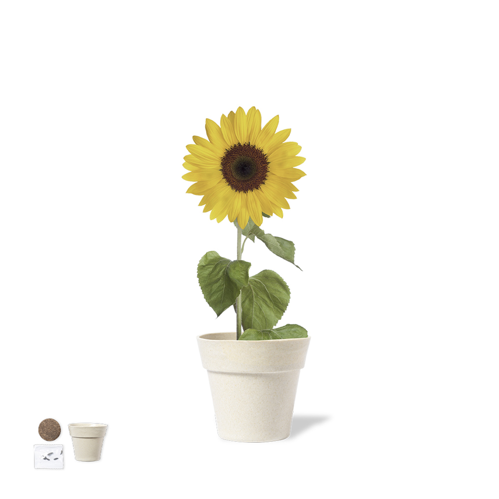 Blumentopf Tumil